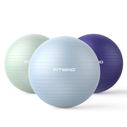 FITMIND Extra Thick Exercise Ball 55cm Yoga Ball for Workout Pregnancy Stability,Anti-Burst and Slip Resistant Swiss Ball with Pump for Yoga, Pilates, Fitness,Birthing,Physical Therapy(Blue 2120C)