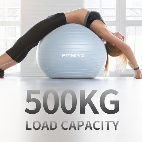 FITMIND Extra Thick Exercise Ball 55cm Yoga Ball for Workout Pregnancy Stability,Anti-Burst and Slip Resistant Swiss Ball with Pump for Yoga, Pilates, Fitness,Birthing,Physical Therapy(Blue 2120C)