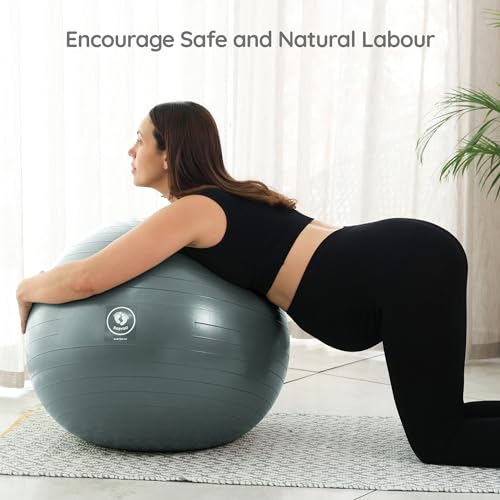 BABYGO Birthing Ball - Pregnancy Yoga Labor & Exercise Ball & Book Set Trimester Targeting, Maternity Physio, Birth & Recovery Plan Included Anti Burst Eco Friendly (Berry, 65cm - 4'8" - 5'10")