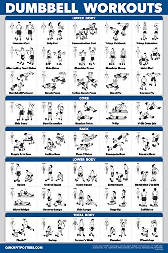 Palace Learning 3 Pack - Dumbbell Workout Posters for Home Gym - Volume 1, 2 & 3 - Exercise Charts (Laminated, 18" x 24")
