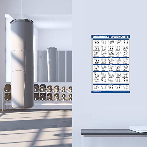 Palace Learning 3 Pack - Dumbbell Workout Posters for Home Gym - Volume 1, 2 & 3 - Exercise Charts (Laminated, 18" x 24")