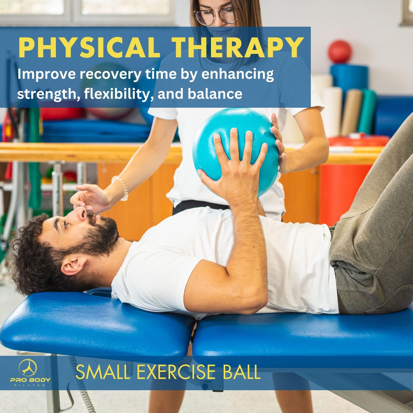 ProBody Pilates Ball Small Exercise Ball w/Pump, 9 Inch Barre Ball, Mini Soft Yoga Ball, Workout Ball for Stability, Barre, Ab, Core, and Physical Therapy Ball at Home Gym & Office (Black)