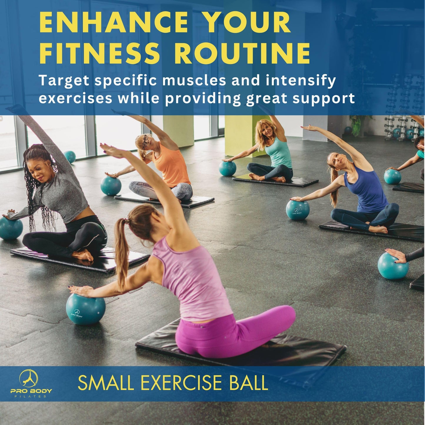 ProBody Pilates Ball Small Exercise Ball w/Pump, 9 Inch Barre Ball, Mini Soft Yoga Ball, Workout Ball for Stability, Barre, Ab, Core, and Physical Therapy Ball at Home Gym & Office (Black)